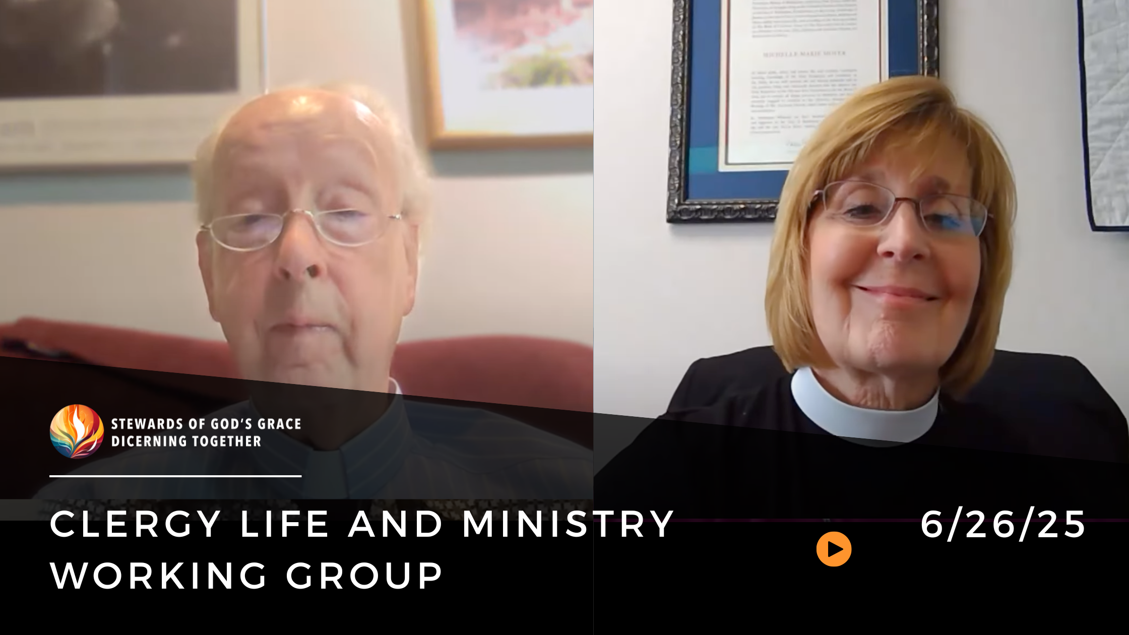 Clergy Life and Ministry Working Group